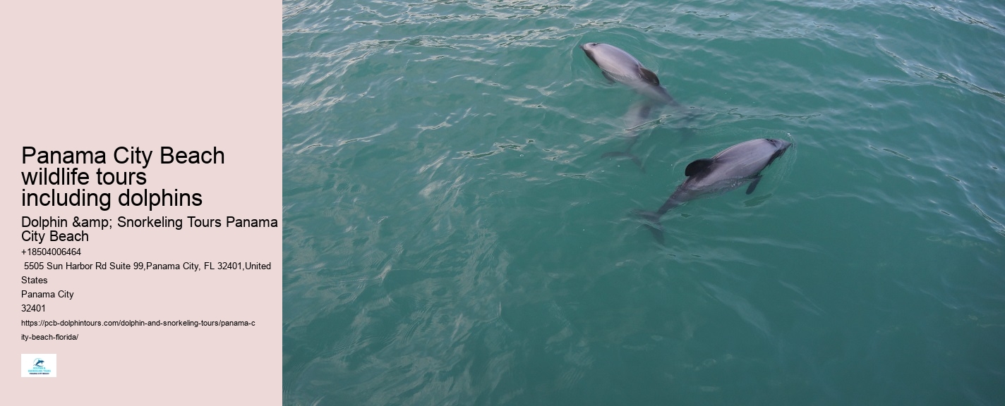 Bottle Nose Dolphin