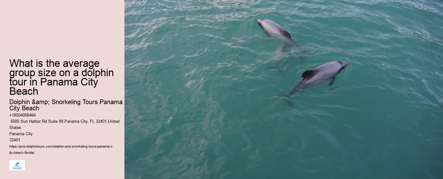 City Beach Dolphin