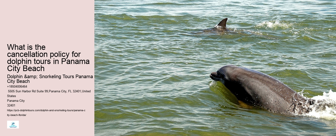 Shell Island Dolphin Tours Panama City Beach Fl
