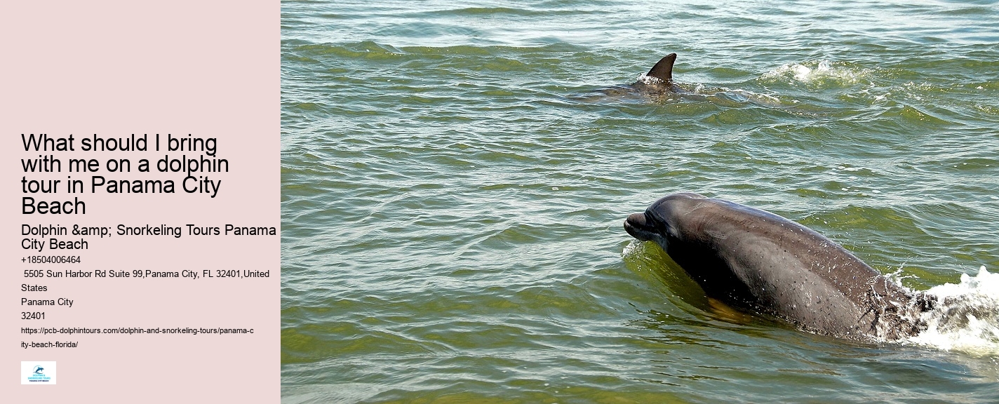 Dolphin watching adventures in Panama City Beach